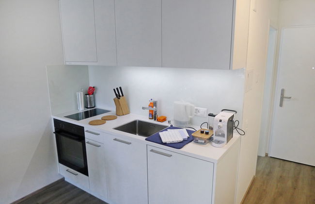 Apartamento de 2 quartos em Lucerna - Foto 12