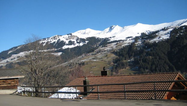 Apartment mit 2 Schlafzimmern in Lenk - Foto 4