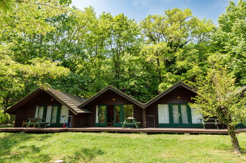 Foto 27 - Haus mit 1 Schlafzimmer in Tihany mit schwimmbad und blick auf die berge