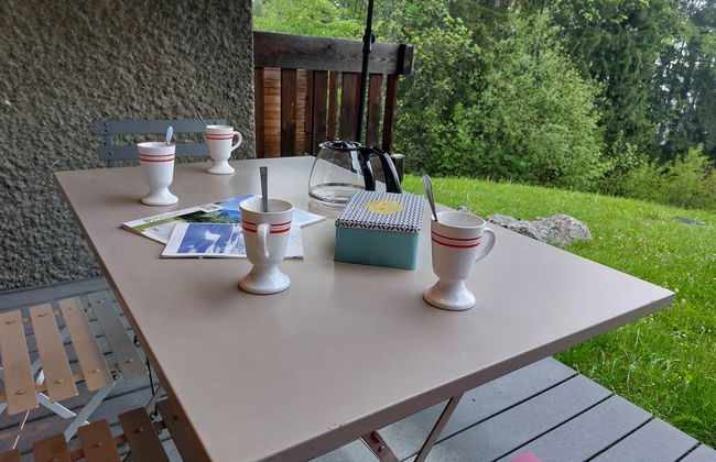 Appartamento con 1 camera da letto a Saint-Gervais-les-Bains con giardino e terrazza - Foto 16