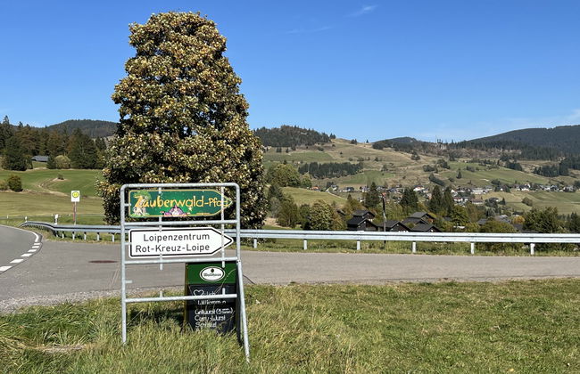 Haus mit 3 Schlafzimmern in Bernau im Schwarzwald mit garten - Foto 51