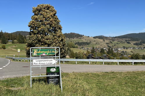 Foto 51 - Casa con 3 camere da letto a Bernau im Schwarzwald con giardino e vista sulle montagne