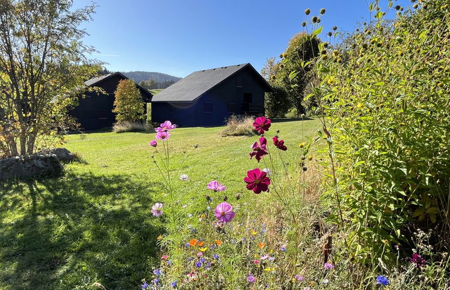 Haus mit 3 Schlafzimmern in Bernau im Schwarzwald mit garten - Foto 21