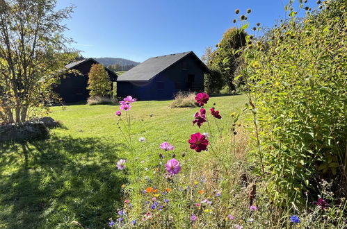 Photo 21 - Maison de 3 chambres à Bernau im Schwarzwald avec jardin