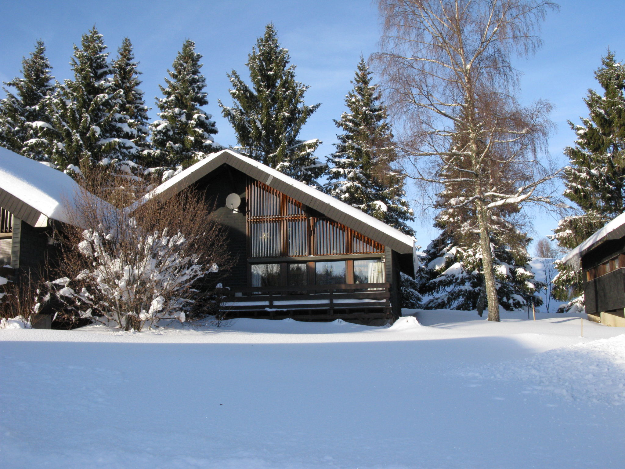 Foto 55 - Casa de 3 quartos em Bernau im Schwarzwald com jardim e vista para a montanha