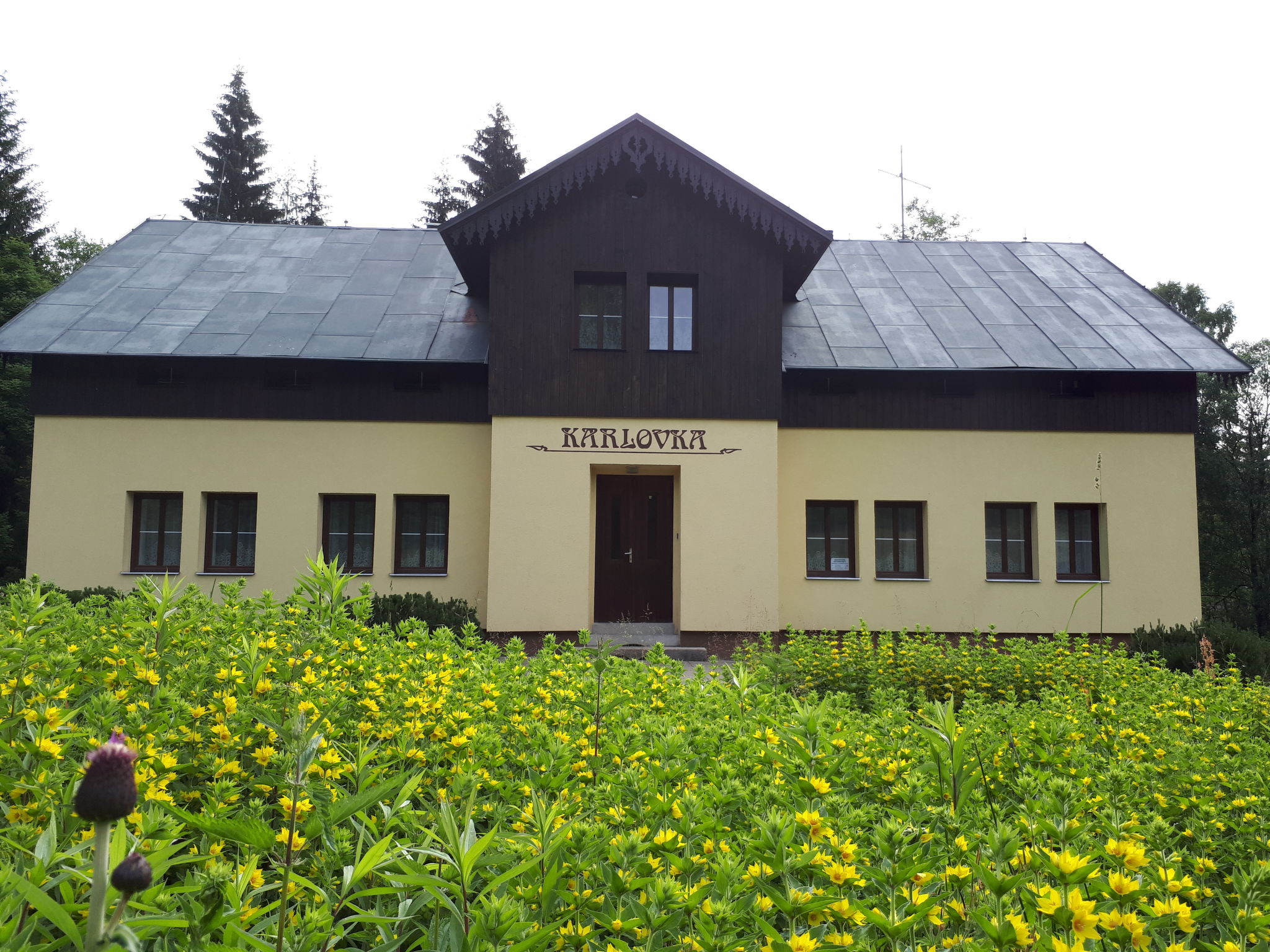 Foto 1 - Haus mit 7 Schlafzimmern in Josefův Důl mit garten