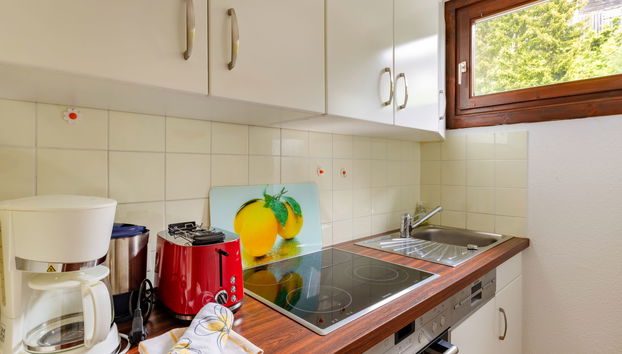Apartamento de 1 quarto em Mühlbach am Hochkönig - Foto 3