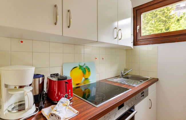 Apartamento de 1 quarto em Mühlbach am Hochkönig - Foto 3