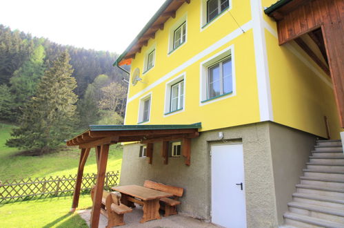 Foto 48 - Haus mit 3 Schlafzimmern in Pernegg an der Mur mit garten und blick auf die berge