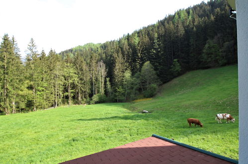 Photo 22 - Maison de 3 chambres à Pernegg an der Mur avec jardin et vues sur la montagne