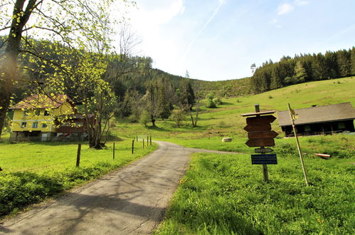 Photo 32 - 3 bedroom House in Pernegg an der Mur with garden and mountain view