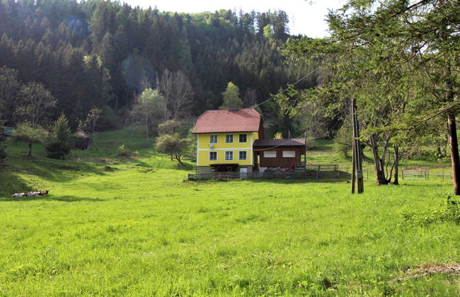 Casa de 4 quartos em Pernegg an der Mur com jardim e sauna - Foto 1