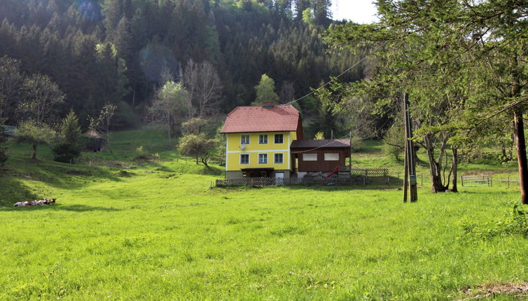 Photo 1 - Maison de 3 chambres à Pernegg an der Mur avec jardin et vues sur la montagne