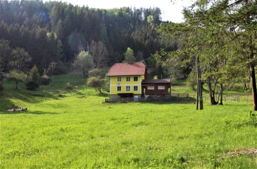 Foto 1 - Casa de 3 habitaciones en Pernegg an der Mur con jardín y vistas a la montaña