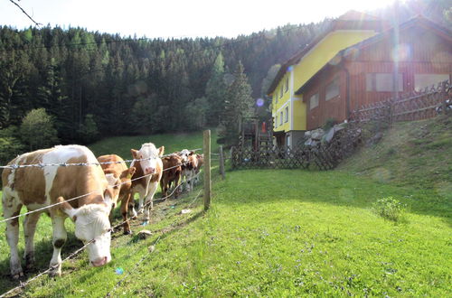 Foto 6 - Haus mit 3 Schlafzimmern in Pernegg an der Mur mit garten und blick auf die berge