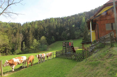 Photo 36 - Maison de 3 chambres à Pernegg an der Mur avec jardin et vues sur la montagne