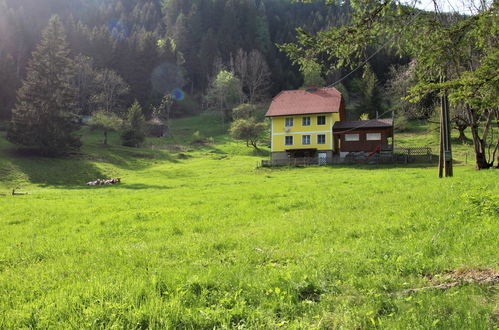 Foto 35 - Casa con 3 camere da letto a Pernegg an der Mur con giardino e vista sulle montagne