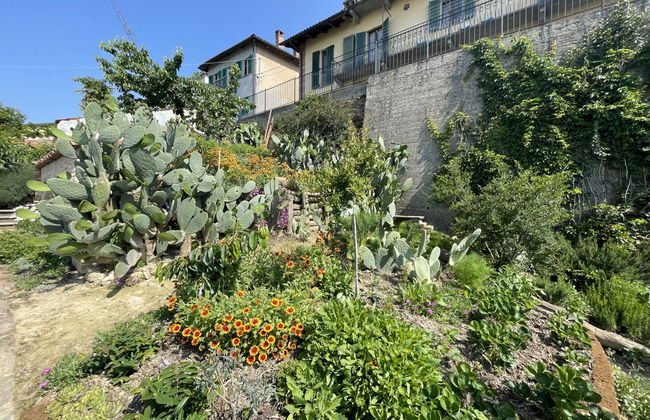 Apartamento de 1 quarto em Montechiaro d'Asti com jardim e terraço - Foto 23