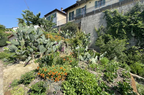 Foto 23 - Appartamento con 1 camera da letto a Montechiaro d'Asti con giardino e terrazza