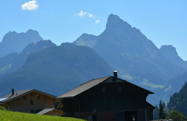 Apartamento de 6 quartos em Saanen - Foto 5