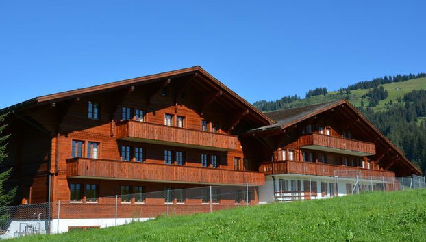 Apartamento de 6 quartos em Saanen - Foto 2