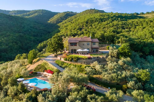 Foto 1 - Casa con 6 camere da letto a Castiglion Fiorentino con piscina privata