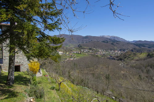 Foto 5 - Casa con 2 camere da letto a Piazza al Serchio con piscina privata e giardino