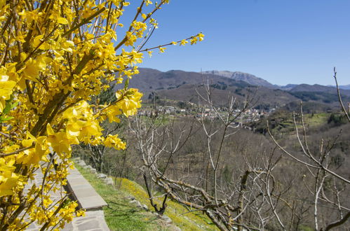 Photo 6 - 2 bedroom House in Piazza al Serchio with private pool and garden