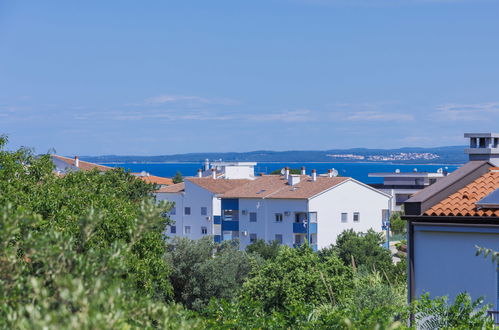 Foto 50 - Casa de 7 habitaciones en Pula con piscina privada y jardín