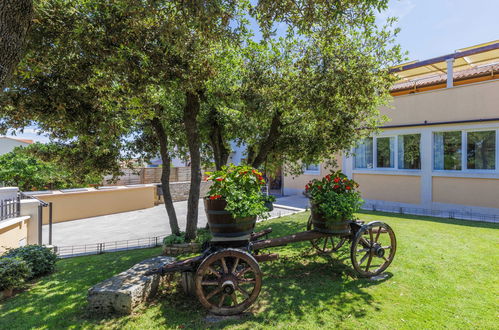 Photo 24 - 7 bedroom House in Pula with private pool and garden