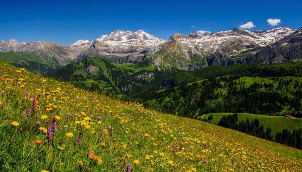 Apartamento de 1 quarto em Lenk - Foto 4