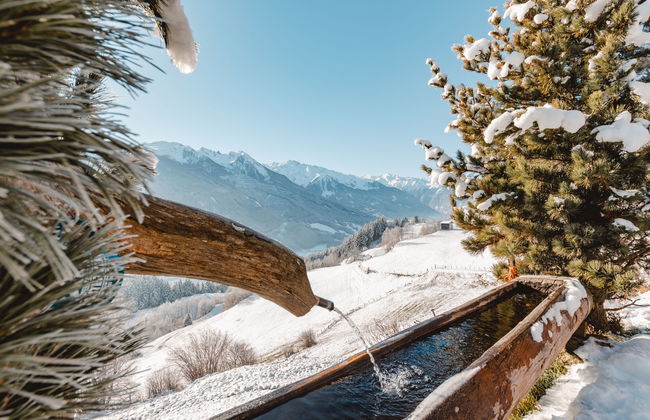 Apartamento de 3 quartos em Bramberg am Wildkogel com jardim e terraço - Foto 32