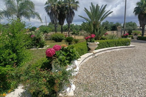 Photo 51 - Maison de 5 chambres à Torricella avec jardin et vues à la mer