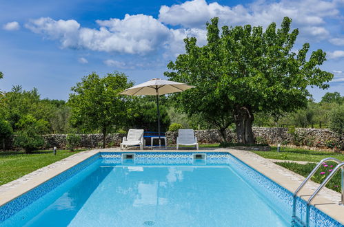 Foto 42 - Casa de 3 habitaciones en Sveti Lovreč con piscina privada y jardín