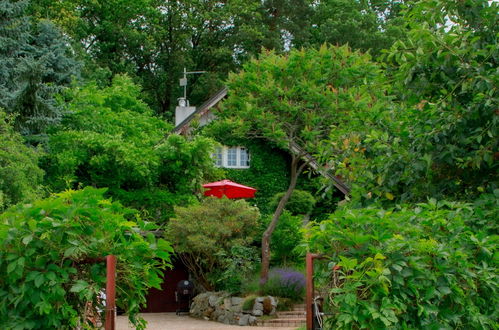 Photo 22 - Maison de 1 chambre à Žabovřesky avec jardin et terrasse