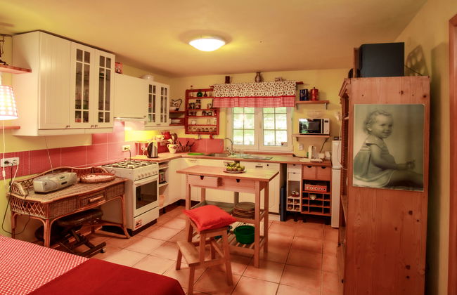 Haus mit 2 Schlafzimmern in Žabovřesky mit garten und terrasse - Foto 12