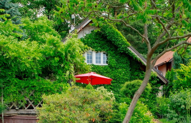 Haus mit 2 Schlafzimmern in Žabovřesky mit garten und terrasse - Foto 21