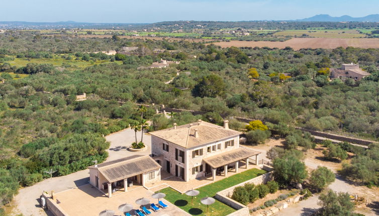 Foto 1 - Casa con 4 camere da letto a Ses Salines con piscina privata e terrazza