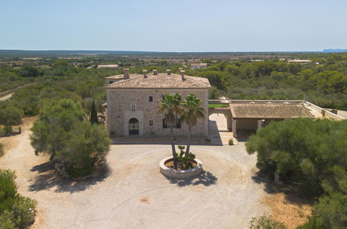 Photo 61 - 5 bedroom House in Ses Salines with private pool and garden