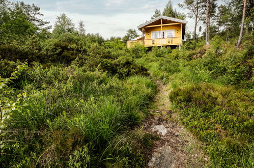 Foto 23 - Casa de 2 quartos em Dale com jardim e terraço