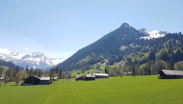 Apartamento de 2 quartos em Saanen - Foto 4