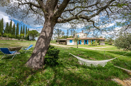 Foto 31 - Casa con 4 camere da letto a Montieri con giardino e terrazza