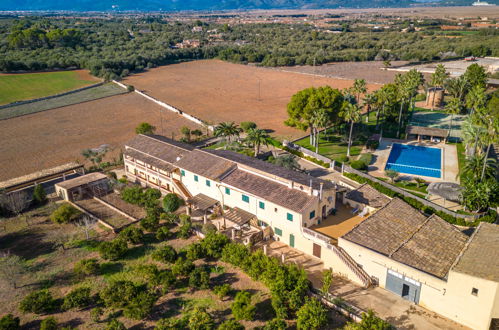 Photo 38 - Appartement de 2 chambres à Muro avec piscine et vues à la mer