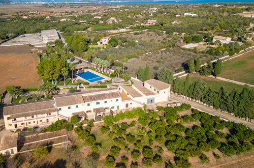 Foto 34 - Appartamento con 2 camere da letto a Muro con piscina e giardino