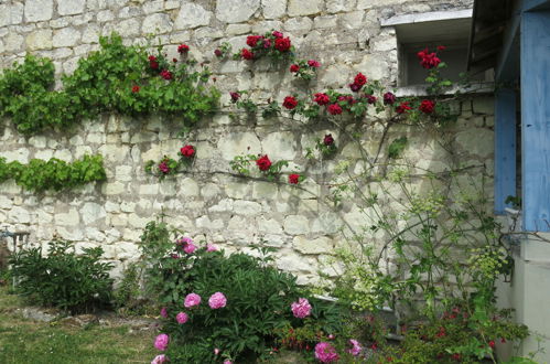 Foto 19 - Casa con 2 camere da letto a Huismes con giardino e terrazza