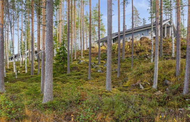 Haus mit 3 Schlafzimmern in Lieksa mit sauna - Foto 29