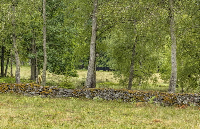 Haus mit 3 Schlafzimmern in Kyrkhult mit garten - Foto 24