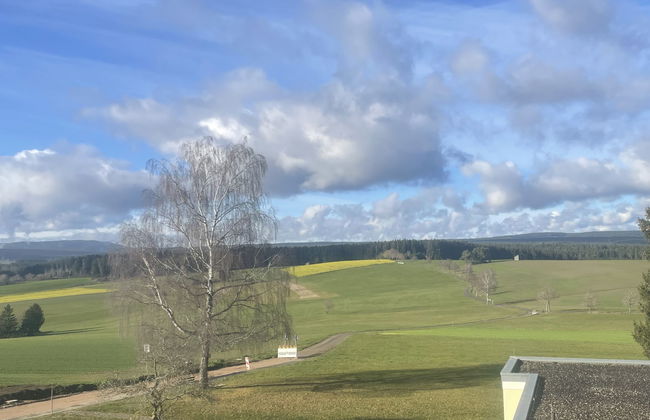Apartamento de 2 quartos em Löffingen com piscina - Foto 27