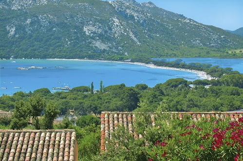 Foto 17 - Appartamento con 2 camere da letto a Porto-Vecchio con piscina e giardino