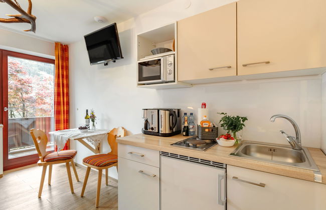 Apartamento de 1 quarto em Neukirchen am Großvenediger com jardim - Foto 3